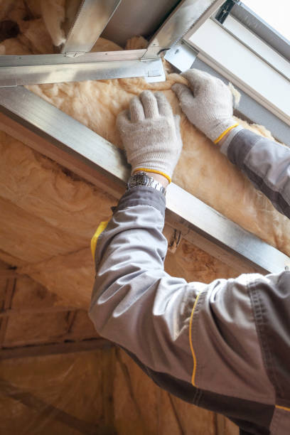 Best Geographic-Specific Insulation Services in Oli, PA