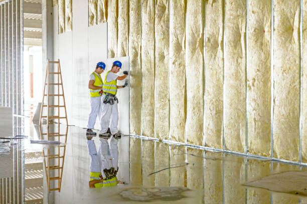 Types of Insulation We Offer in Paoli, PA